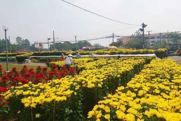 Chợ hoa công viên Gia Định