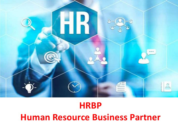 HRBP Là Gì Cần Gì Để Trở Thành Một HRBP Chuyên Nghiệp  NIC Global