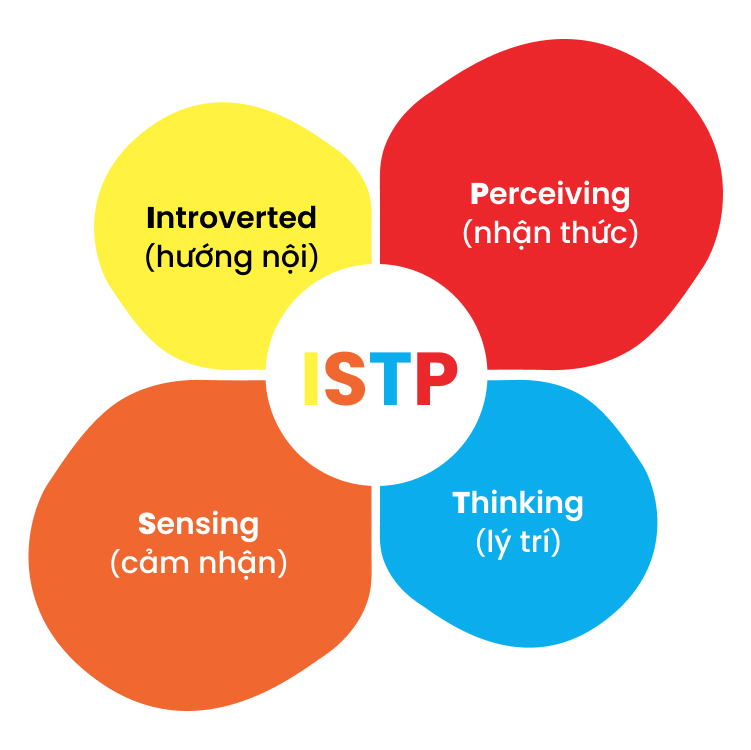 Nhóm tính cách ISTP - nhà kỹ thuật: Tổng quan tính cách, nghề nghiệp |  CareerBuilder.vn