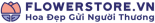 Thực tập sinh nhân sự (HR Intern) logo