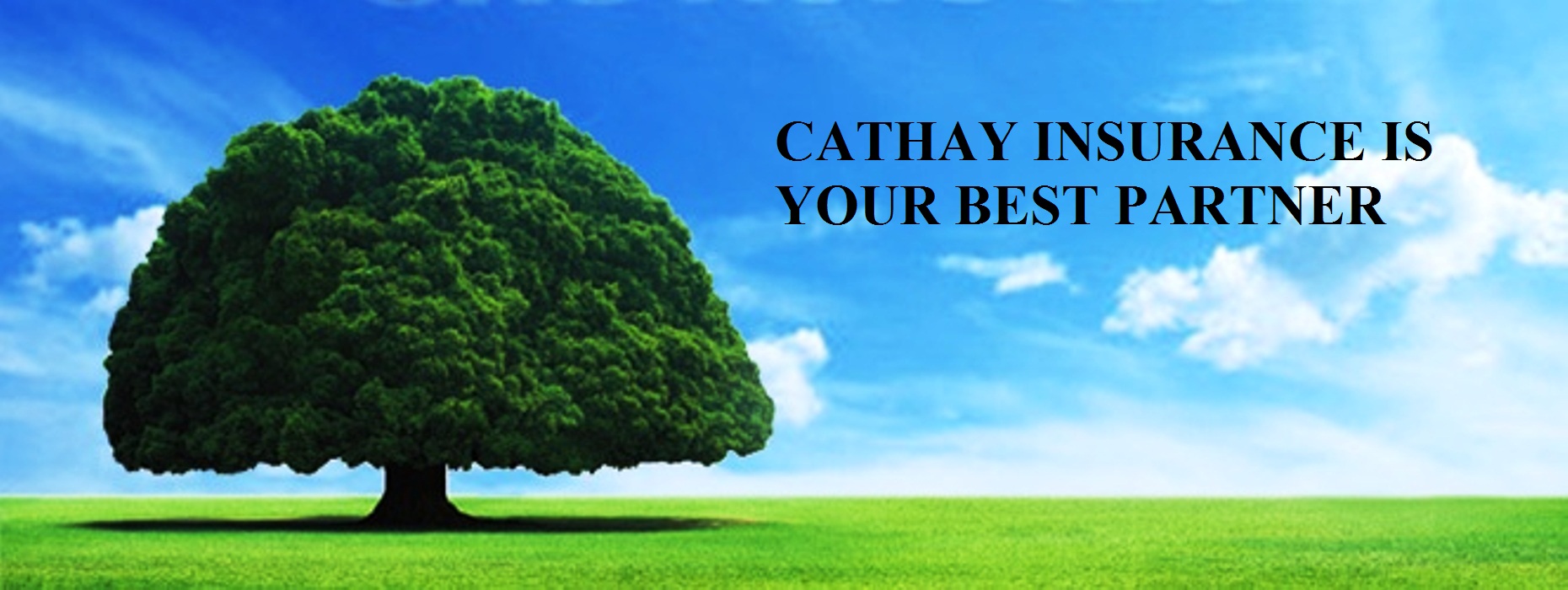 Cathay Life Insurance (Vietnam) Co., Ltd